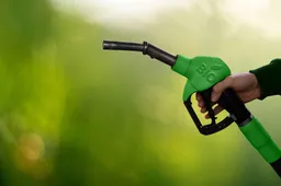 Per i biocarburanti siamo dipendenti (ancora una volta) dalla Cina