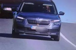 Cane alla guida: l'autovelox scatta una foto incredibile