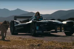Formula E contro ghepardo: chi vincerà?