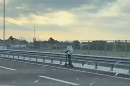 In autostrada in monopattino, di nuovo: "beccata" donna a Torino