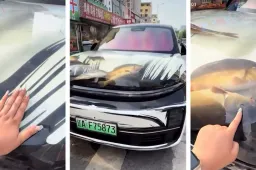 Trasforma il cofano in un acquario: pesci lasciati morire per strada, scatta l’indignazione [VIDEO]