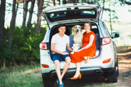 Trasporto sicuro degli animali in auto: guida completa alle norme e alle precauzioni da seguire