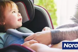 Offerte sistemi Anti-Abbandono per seggiolini: ecco i migliori prezzi Norauto