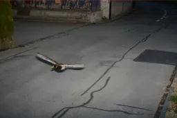 L’anatra pirata della strada colpisce ancora: multata per eccesso di velocità a Koeniz