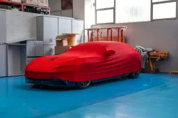 In vendita la Ferrari ex John Elkann: ecco perché è speciale