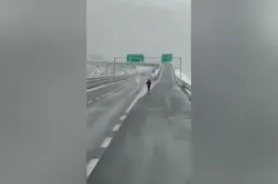 Monopattini in tangenziale: è ora di dire basta dopo l'ultimo caso