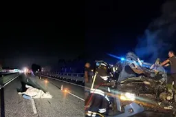 Discovery della Polizia investe una mucca in tangenziale a Torino: 4 feriti