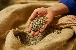 Gli interni in pelle creati con gli scarti del caffè