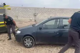 FIAT Punto clonata per non pagare l’assicurazione: idea pericolosissima