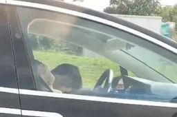 Fidarsi è bene, ma a tutto c'è un limite. Protagonisti una Tesla e il suo Autopilot [VIDEO]