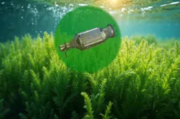 L’invenzione di due giovani: così le alghe possono salvare il motore termico dall’estinzione