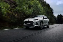 Suzuki Hybrid: gamma, modelli, prezzi