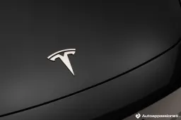 Model Q: in arrivo la Tesla più economica da 30.000 euro