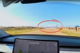 Tesla si schianta contro un muro dipinto: il VIDEO che umilia la guida autonoma
