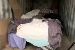 Compra un container al buio per 3.200 dollari: all'interno un’auto intatta che vale dieci volte tanto che la “fa viaggiare nel tempo”
