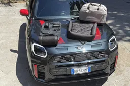 Cani in auto: non fare questi errori. Ecco tutto quello che bisogna sapere per viaggiare sicuri
