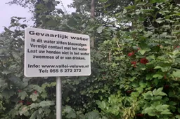 persbericht 24 017 blauwalg aangetroffen terschuur