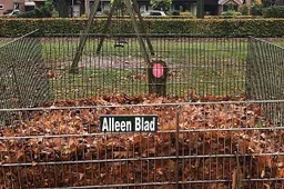 csm_Bladkorf_24626c99ca
