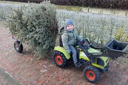 csm_Kind_met_kerstboom_bd445a93c7