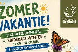 Poster kindermiddagen zomer 2026 200dpi 1