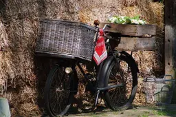 csm_fiets_9a1d3e6662