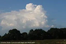 weerfoto