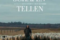 filmposter schapen tellen v1 verkleind