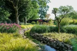 the Garden of Mala Lente 2026