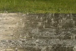 rain 3954273 1280 regen 915x518