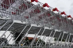 shopping cart 53792 1280 e1432419951165