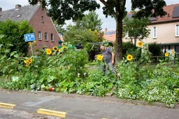 vergroenen na situatie