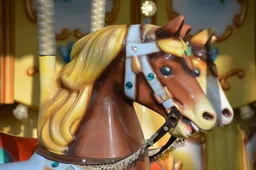 horse 3214189 1280
