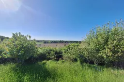 20250515_174303