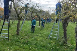 cee8b9bd-3be4-410e-ba06-a007215247a2