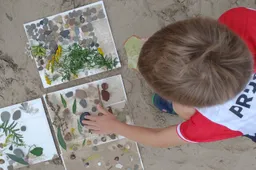 IMG_20230913_133111459