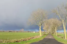 WhatsApp Image 2025-12-06 at 10.39.15