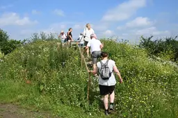 20260621 Weurtse Heuvel WilKuijpers-43