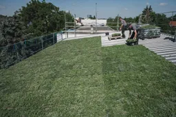 highres_sabprofildachbegruumlnung-76