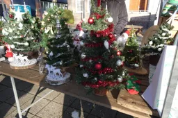 WhatsApp Image 2025-12-14 at 09.08.27 (1)