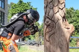 Naamloos-1hout1234