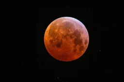 83140219_3478449615529811_3938868168759443456_n