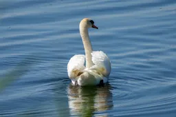 Vakantie_putten_67