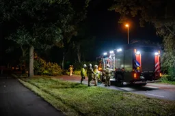 2020-08-26_Reality_Photo_Stormschade_dikke_tak_waait_van_boom_Duinweg_Drunen_2