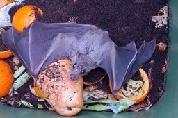 593456428_868802795665610_8183693728310207394_n