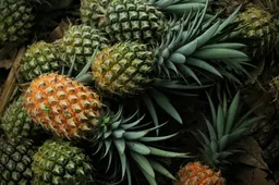 pineapple-3808963_1920_senjakelabu29_Pixabay