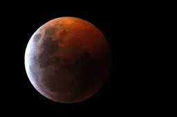 enthousiasme over bloedmaan 715x408