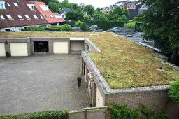 groen dak