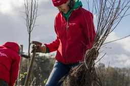 Herenboeren Op ’t Lies plant 460 meter heg voor biodiversiteit