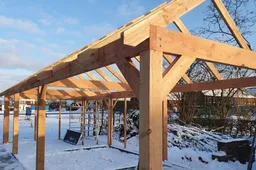 Afbeelding 1 -Advertorial februari 2026