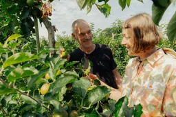appelsap no waste army